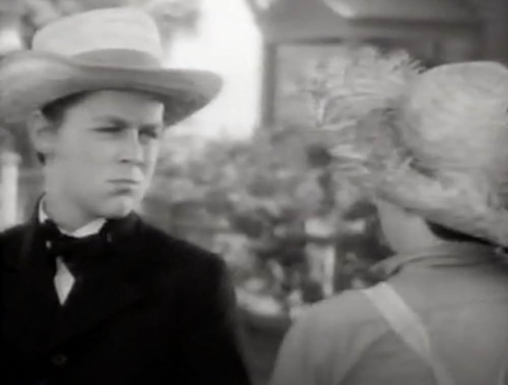 トム・ソーヤの冒険の画像