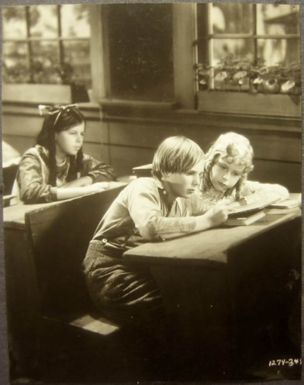 トム・ソーヤの冒険の画像