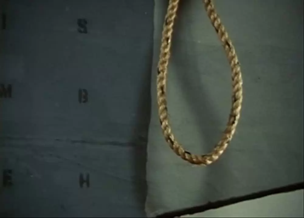 ドゥームド・ラブ／宿命乃恋（さだめのこひ）の画像