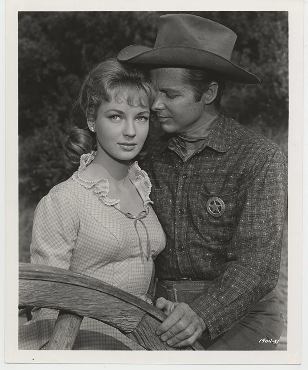 情無用の拳銃の画像