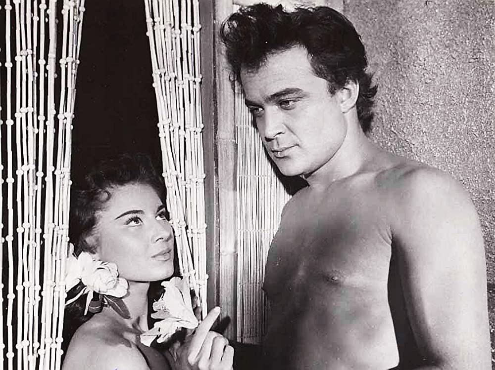 南海の黒真珠の画像