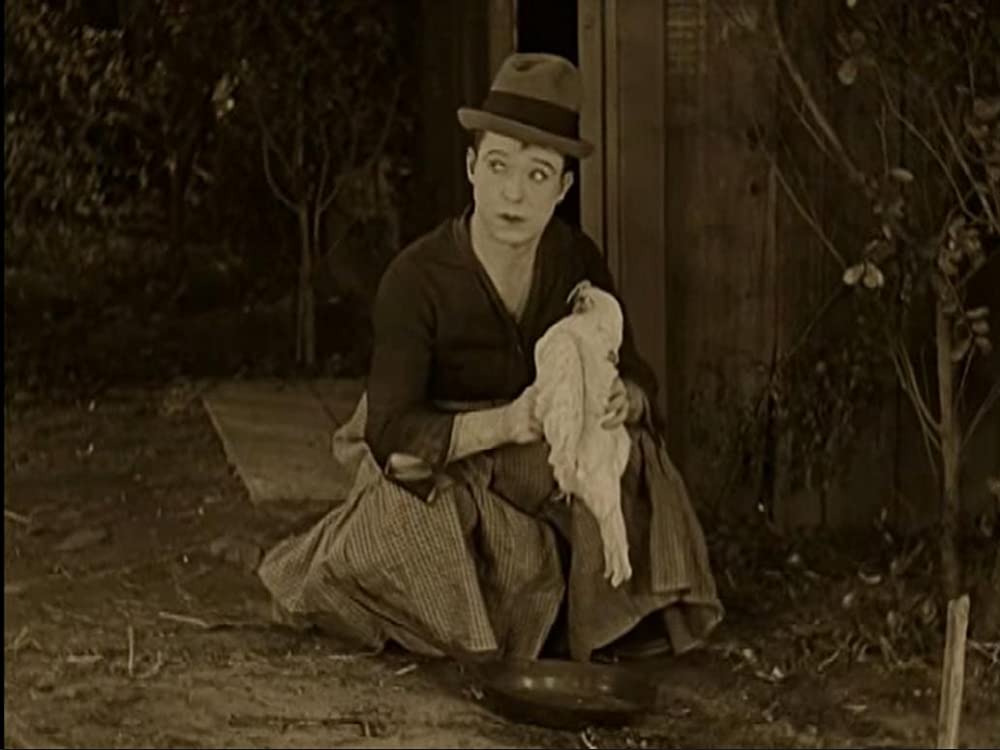 女権拡張の画像