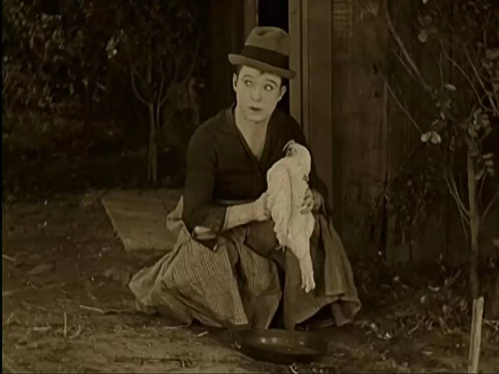 女権拡張の画像