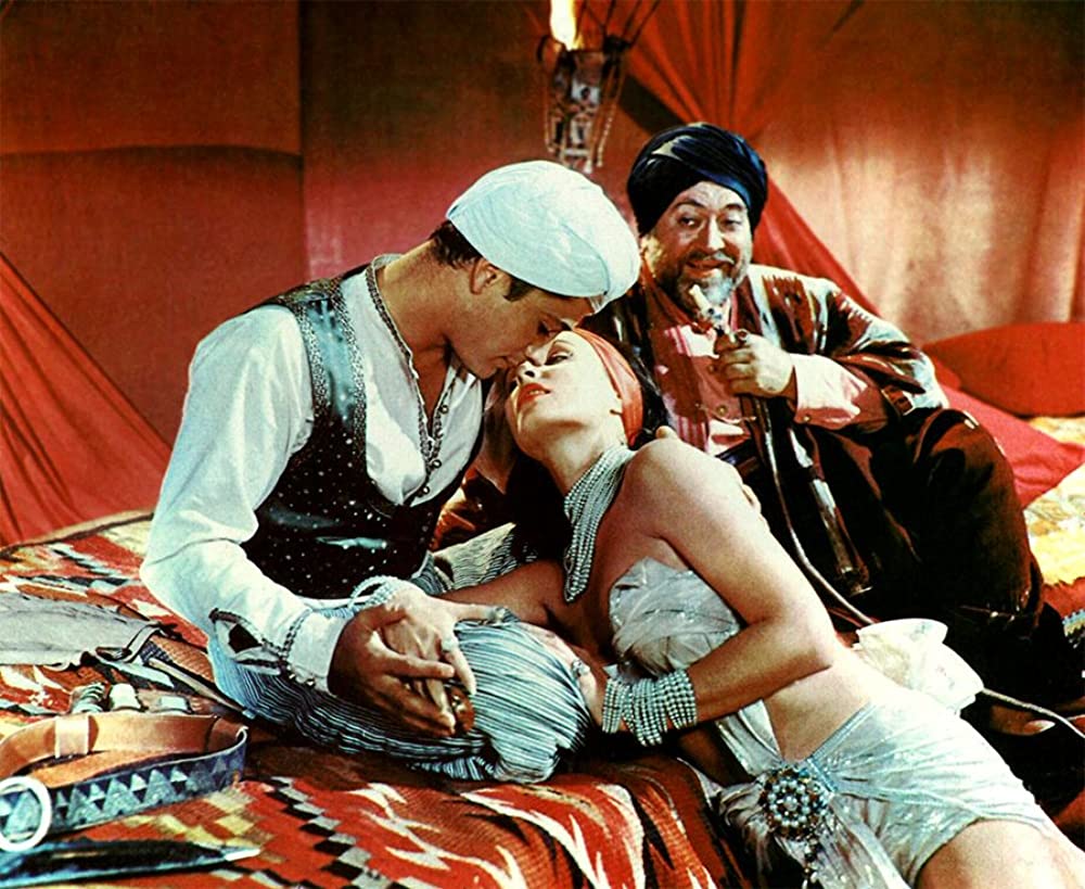 熱砂の女盗賊の画像