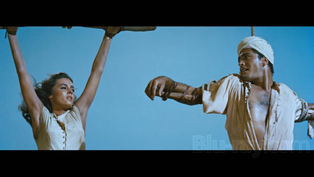 熱砂の女盗賊の画像