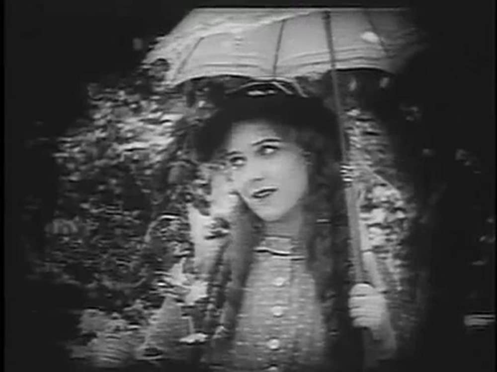 農場のレベッカの画像