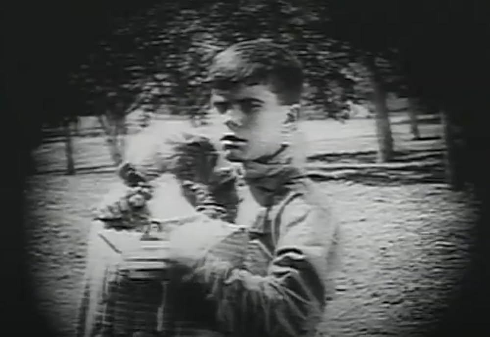 農場のレベッカの画像