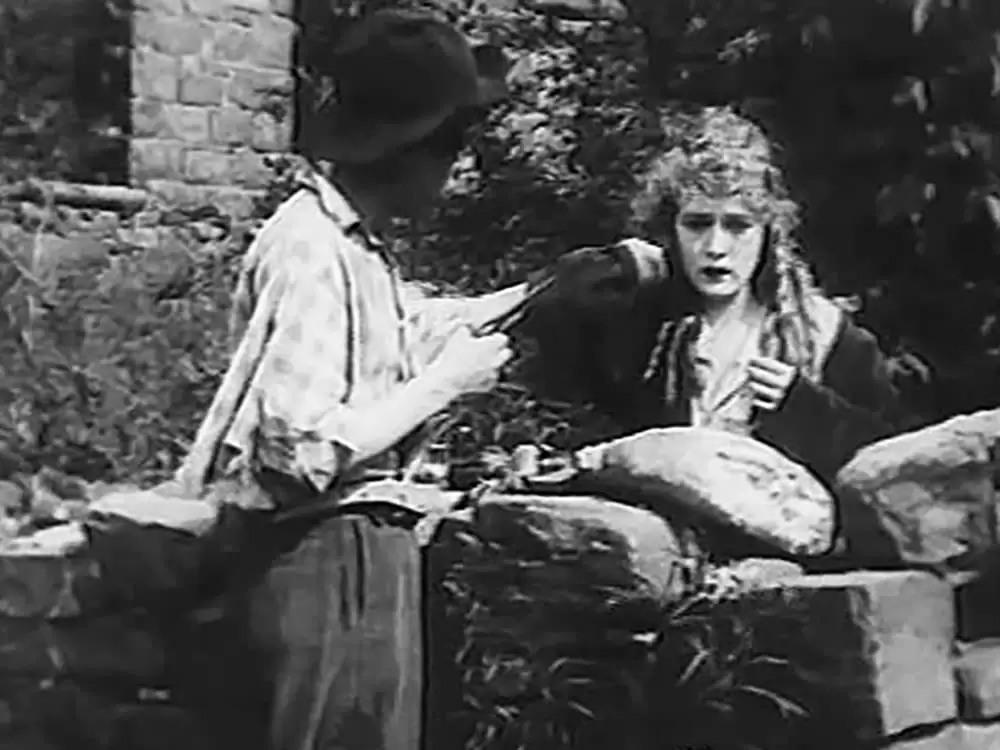 半生の悪夢の画像