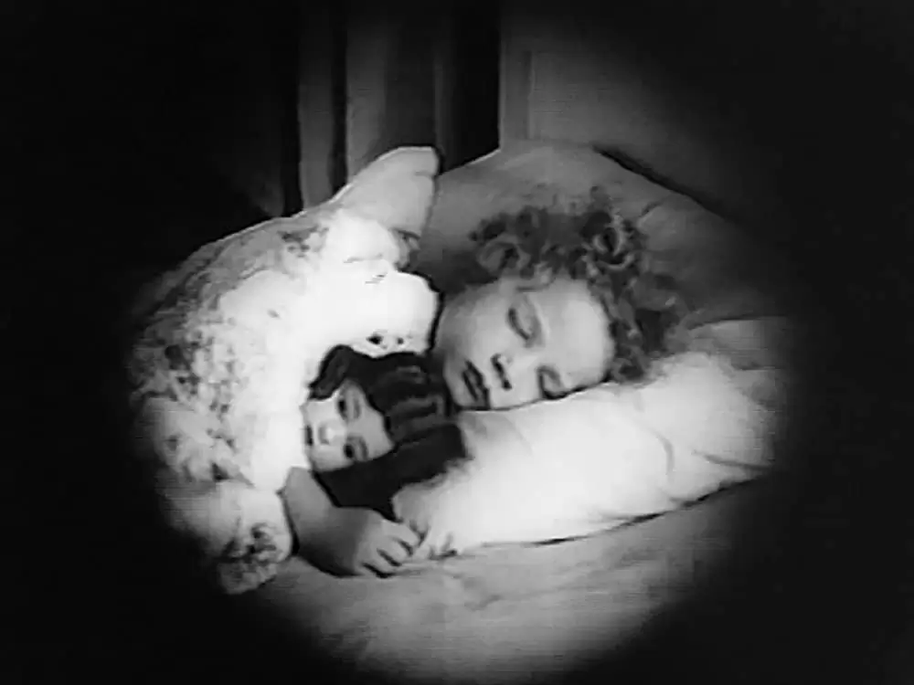 半生の悪夢の画像