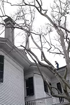 ベンジャミン・バトン 数奇な人生の画像