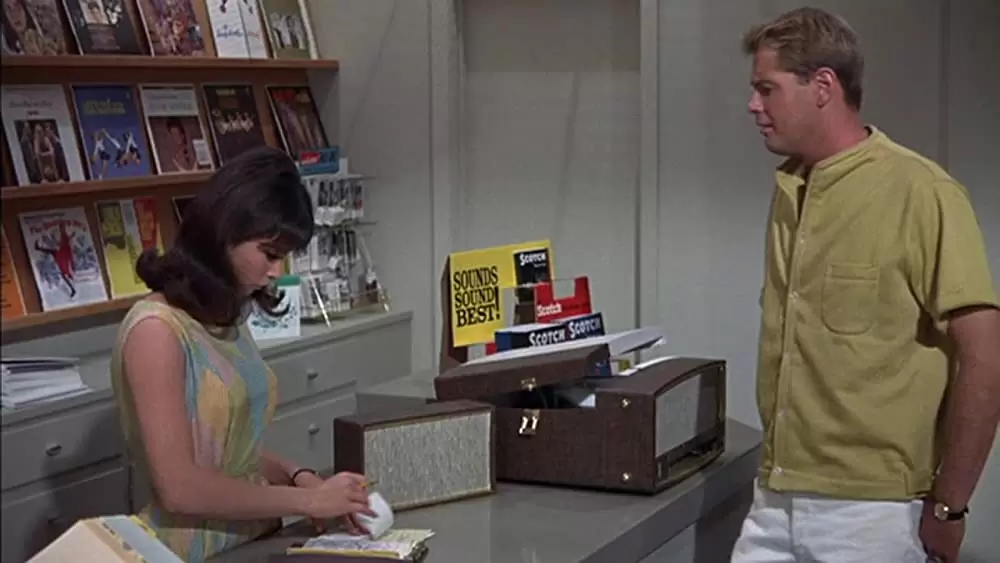 「パームスプリングの週末」トロイ・ドナヒュー & ステファニー・パワーズの画像