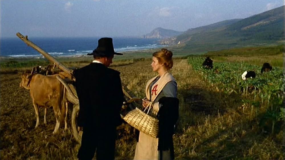 真紅の文字の画像