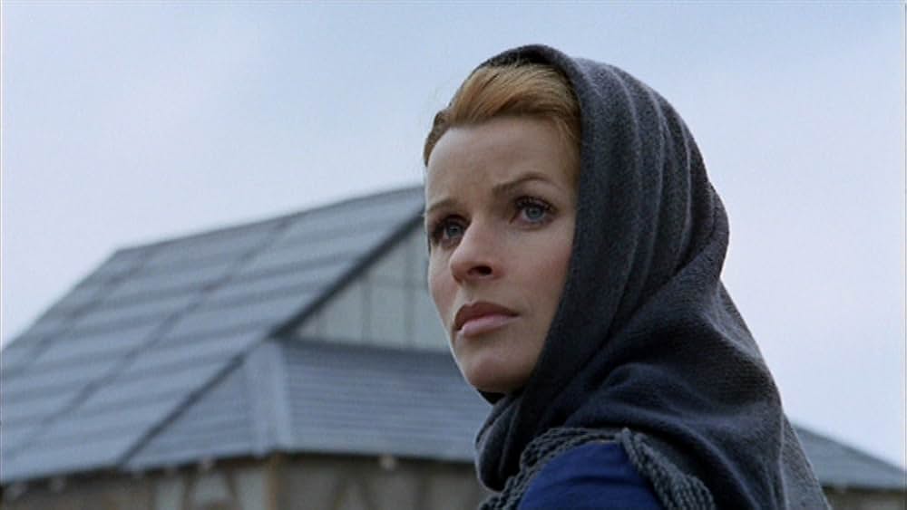 真紅の文字の画像