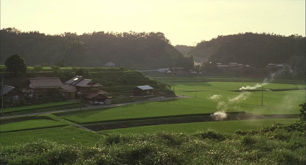 天然コケッコーの画像