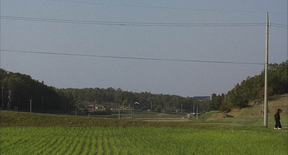 天然コケッコーの画像