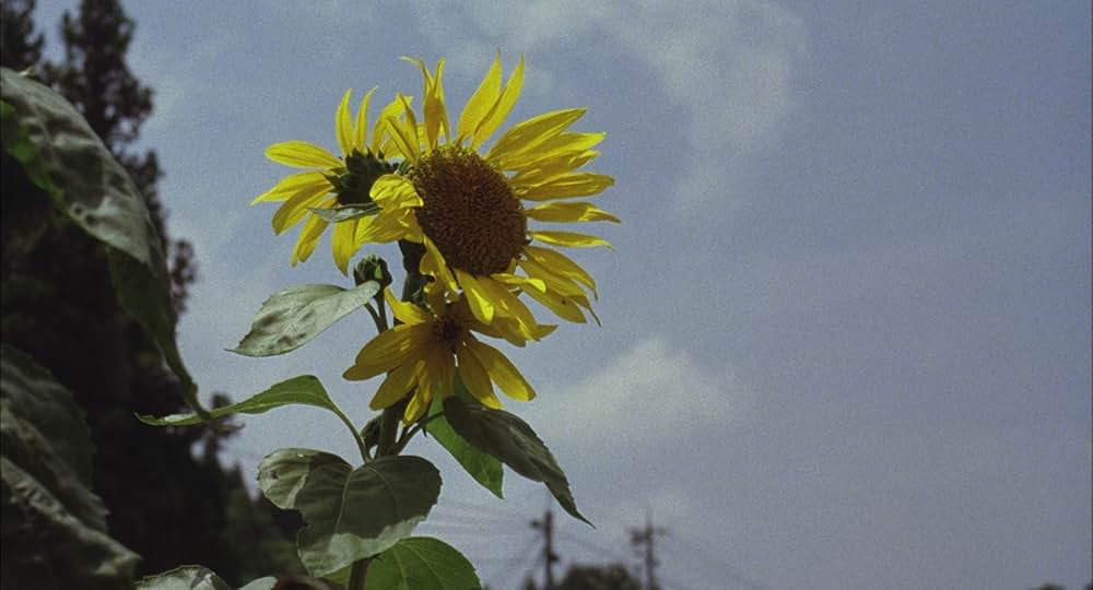 天然コケッコーの画像