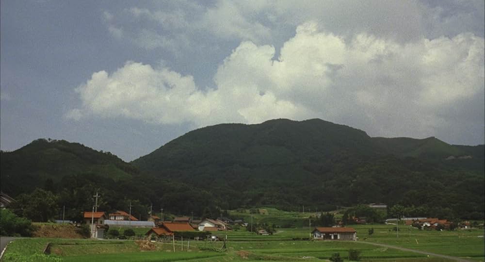 天然コケッコーの画像