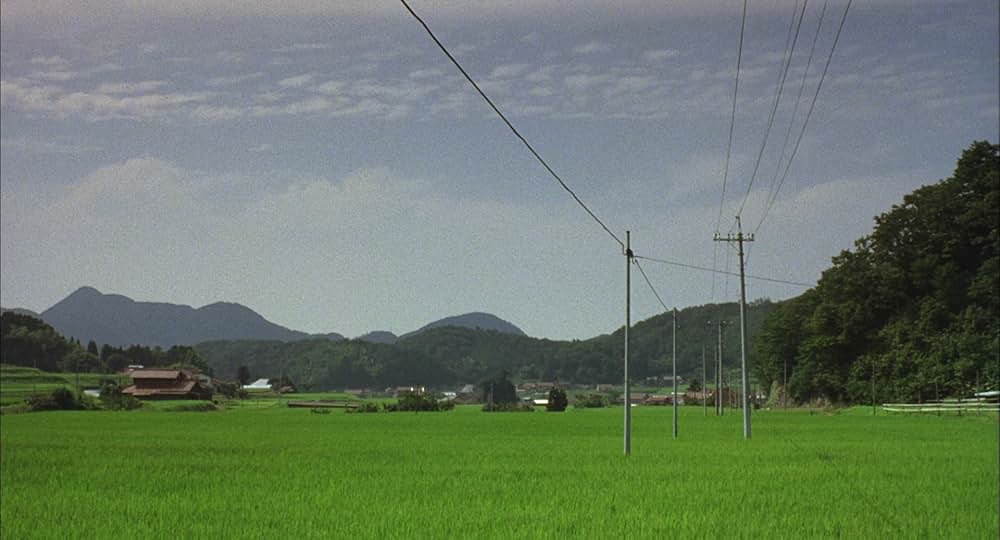 天然コケッコーの画像