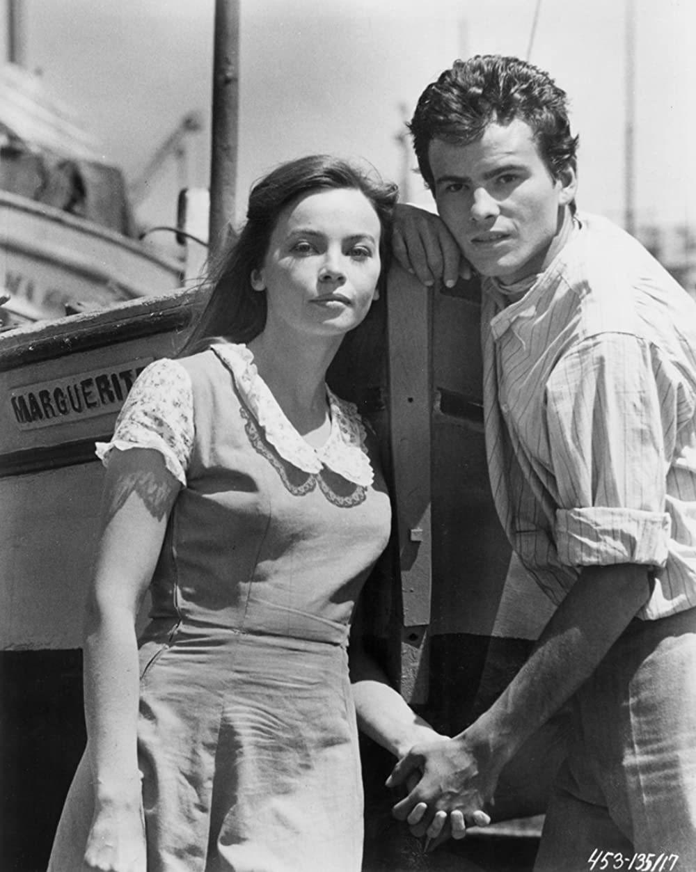 ファニーの画像