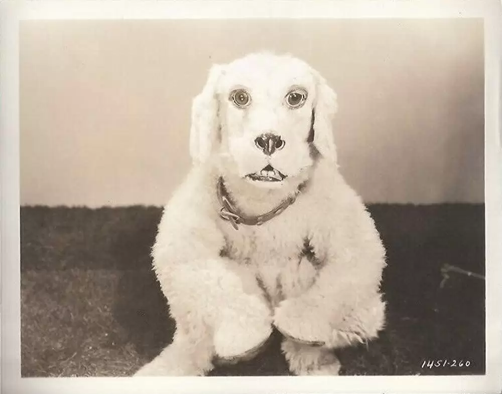 不思議の国のアリスの画像