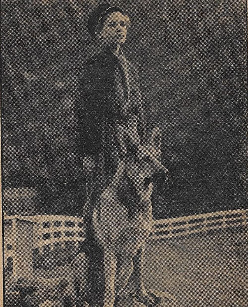 フランダースの犬（1935）の画像