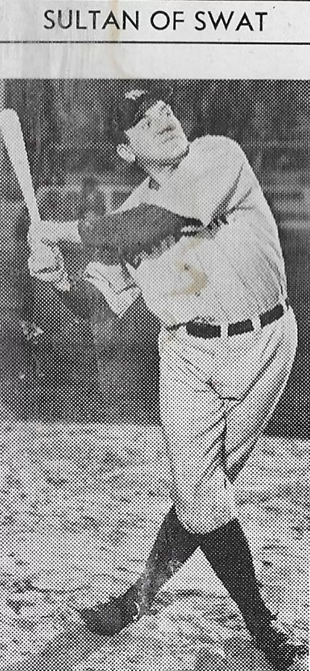 ベーブ・ルース物語の画像