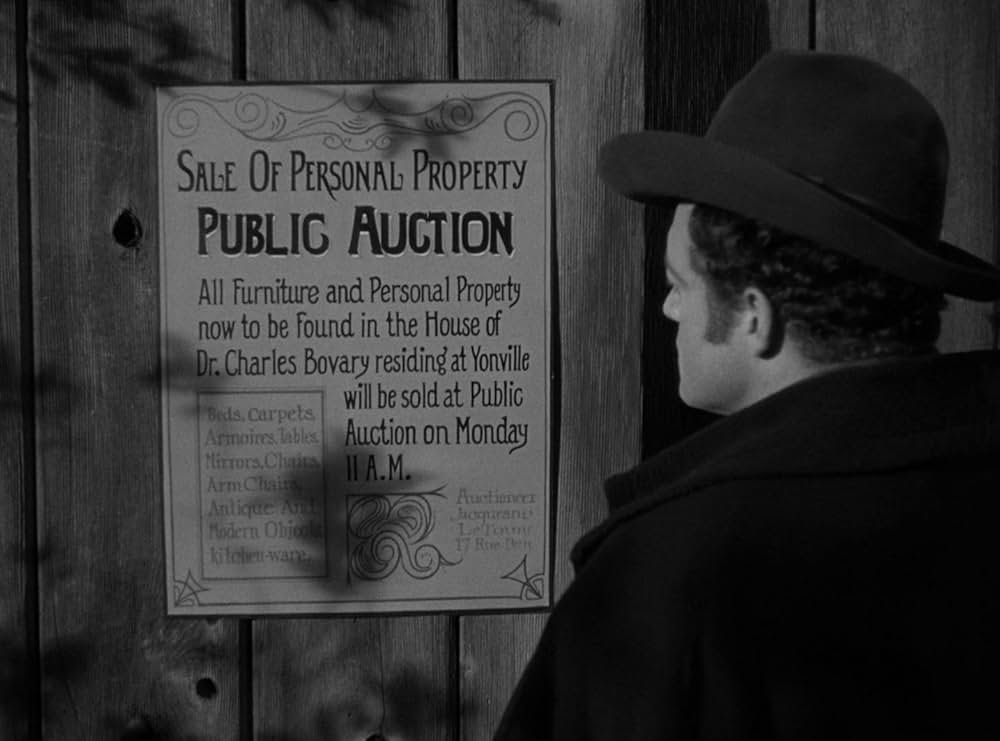 ボヴァリー夫人の画像