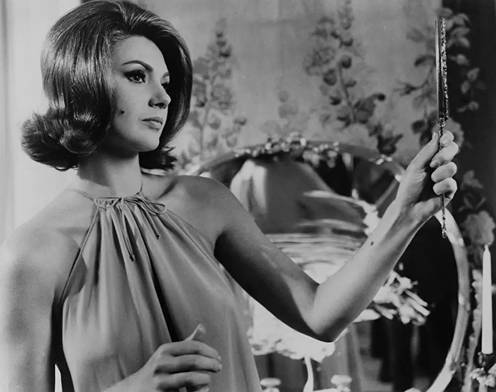 「ボディガード」シルバ・コシナの画像