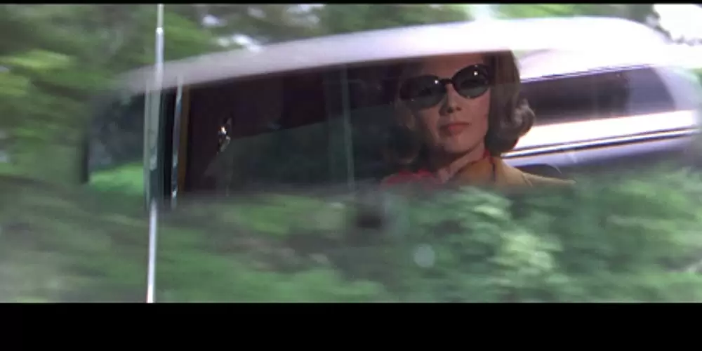 「ボディガード」シルバ・コシナの画像