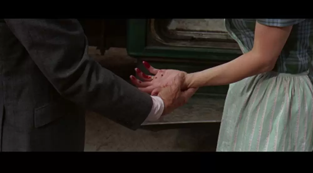 「ボディガード」カーク・ダグラス & Meg Mylesの画像