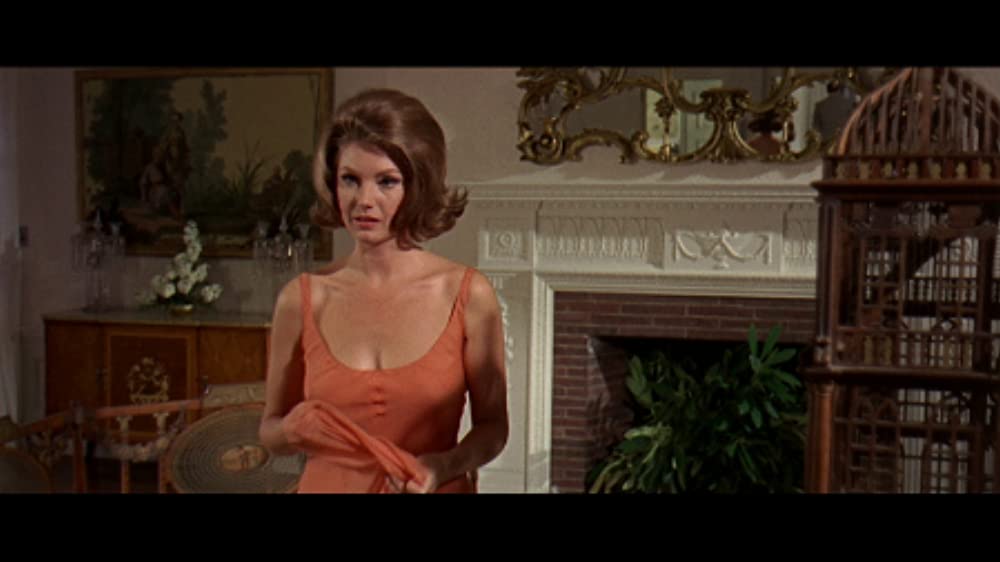 ボディガードの画像