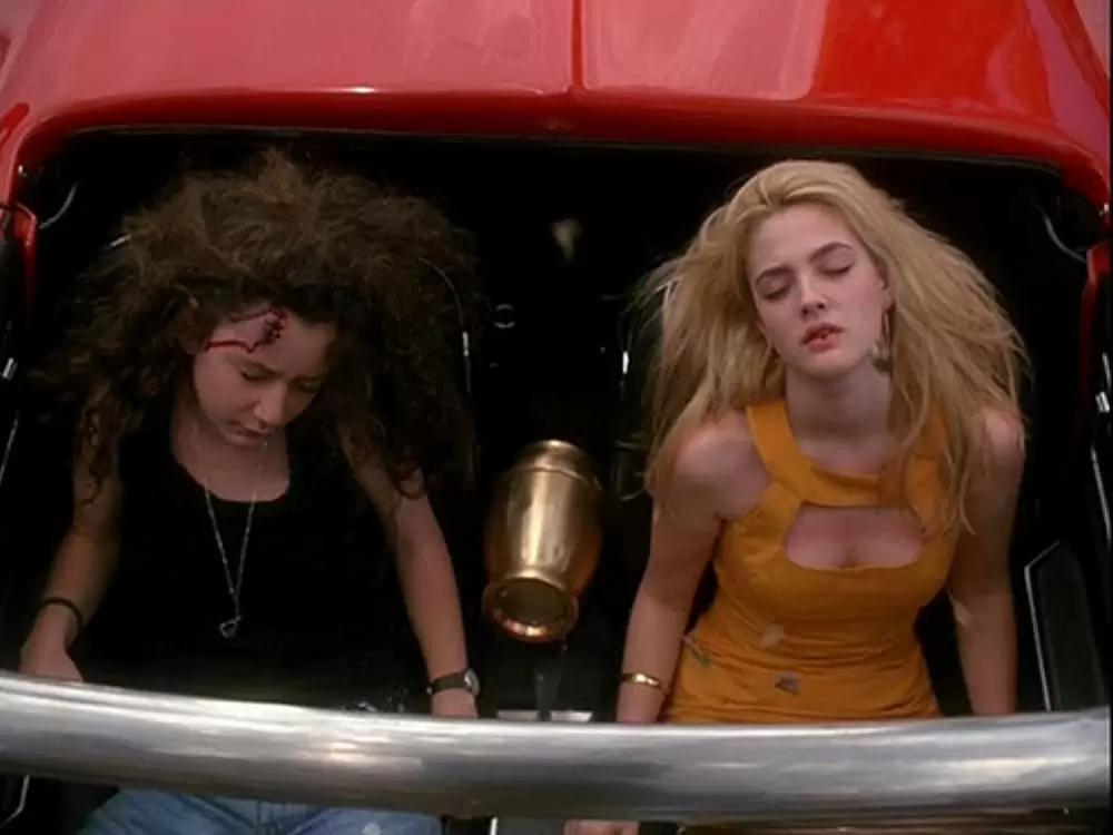 「ボディヒート」ドリュー・バリモア & サラ・ギルバートの画像