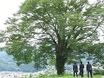 バッテリーの画像