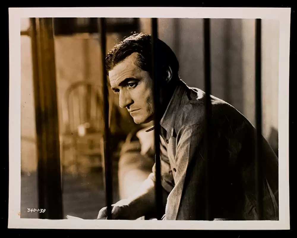 ミックスの再起の画像