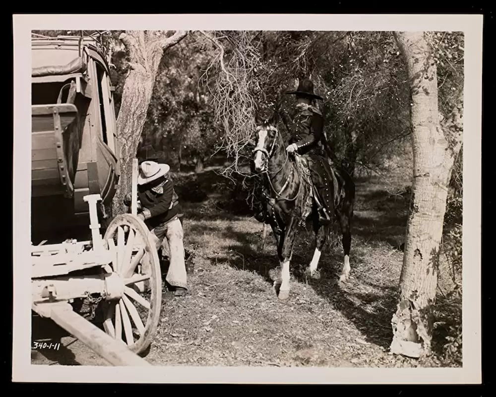 ミックスの再起の画像