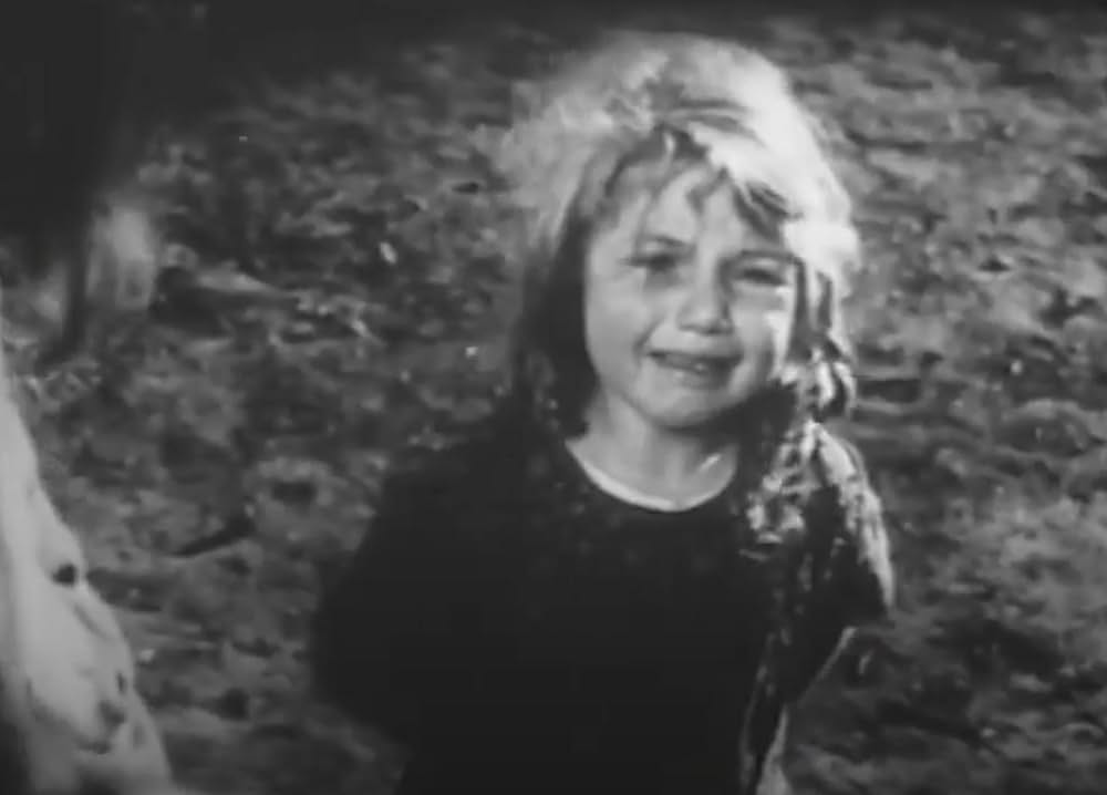 ミックスの再起の画像