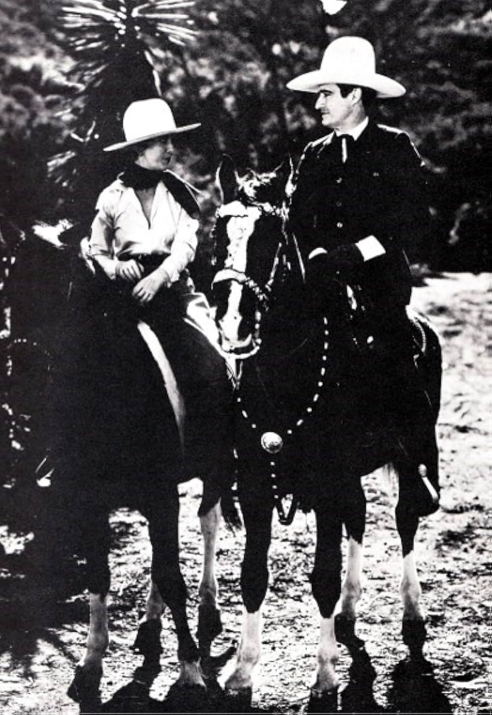 ミックスの再起の画像