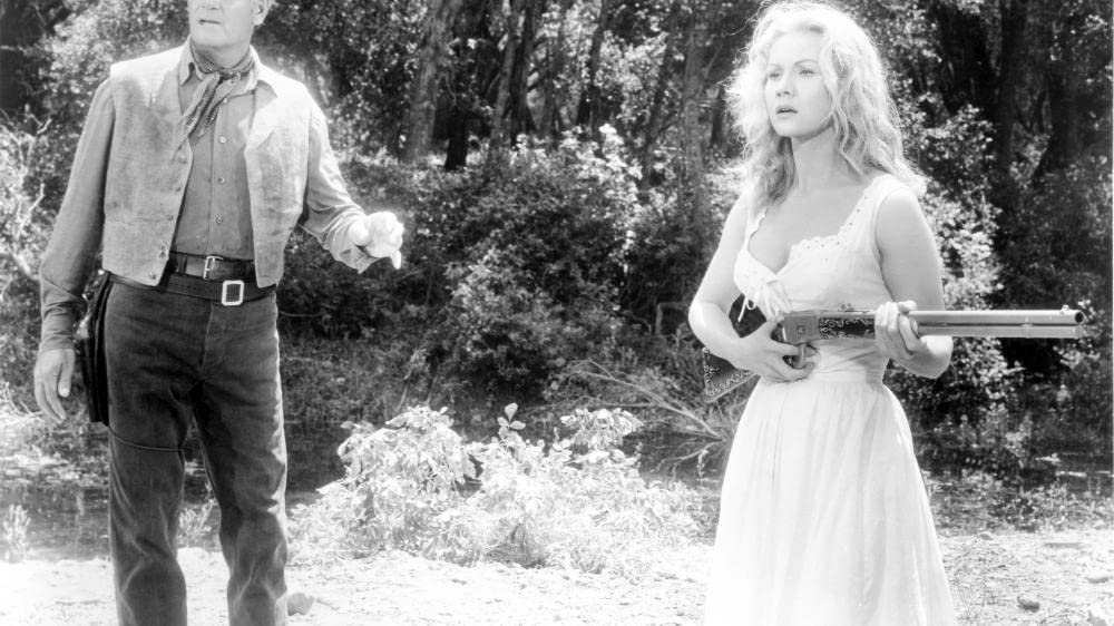 見知らぬ渡り者の画像