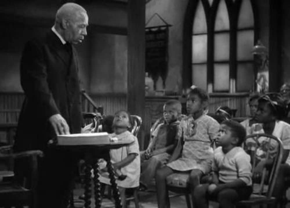 緑の牧場の画像