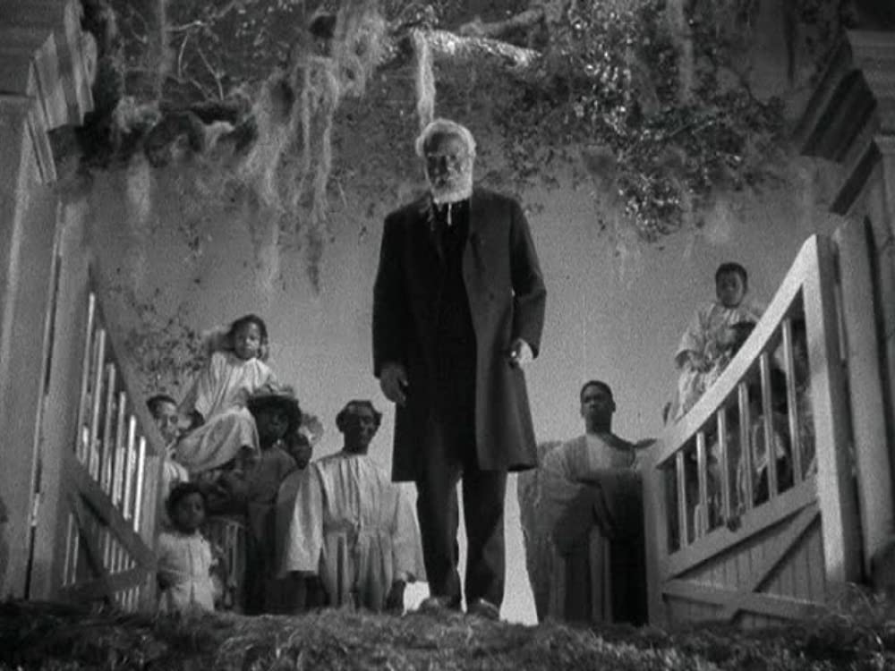 緑の牧場の画像