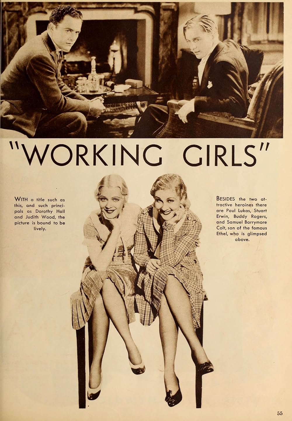 めくらの鼠の画像