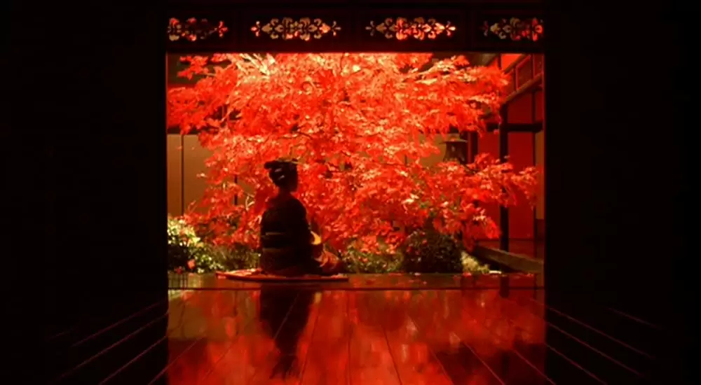 さくらんの画像