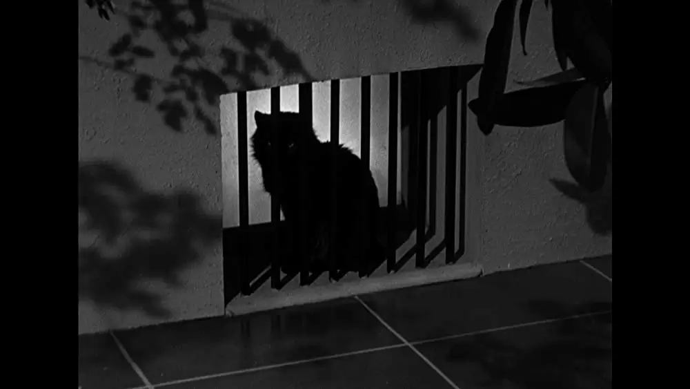 鏡の前の接吻の画像