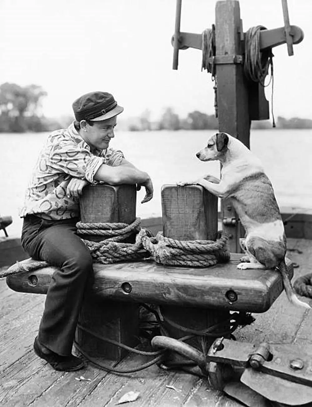 楽園の大河の画像