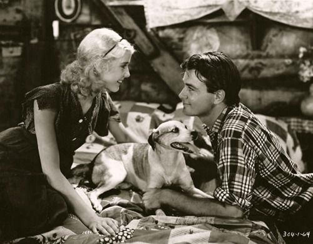 楽園の大河の画像