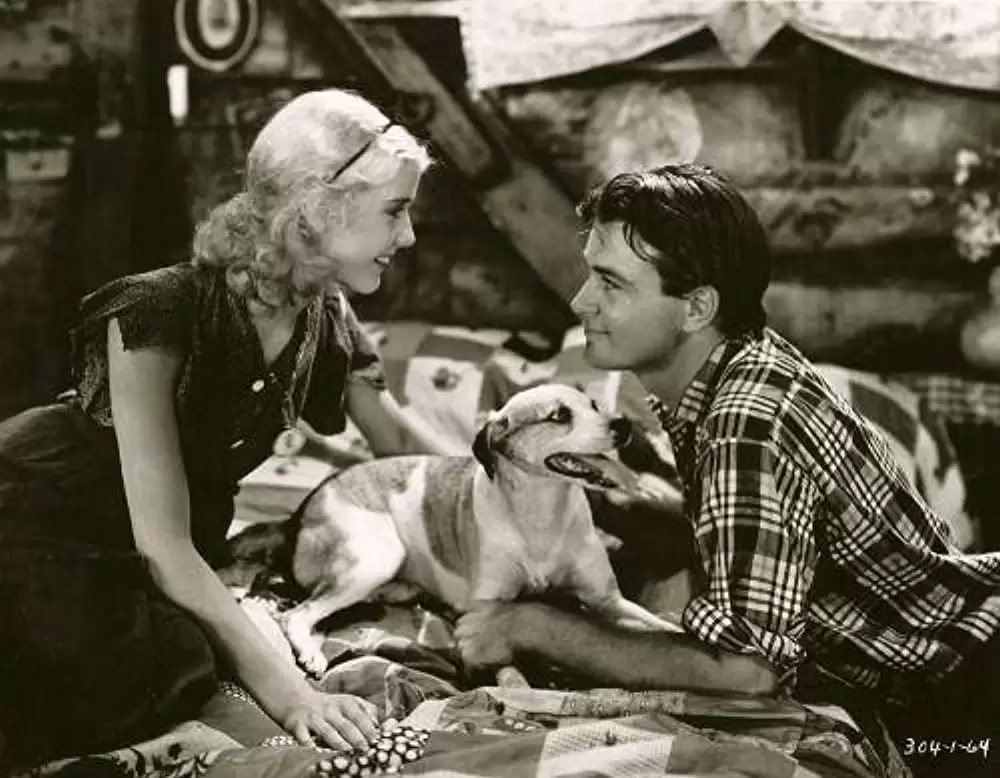 楽園の大河の画像