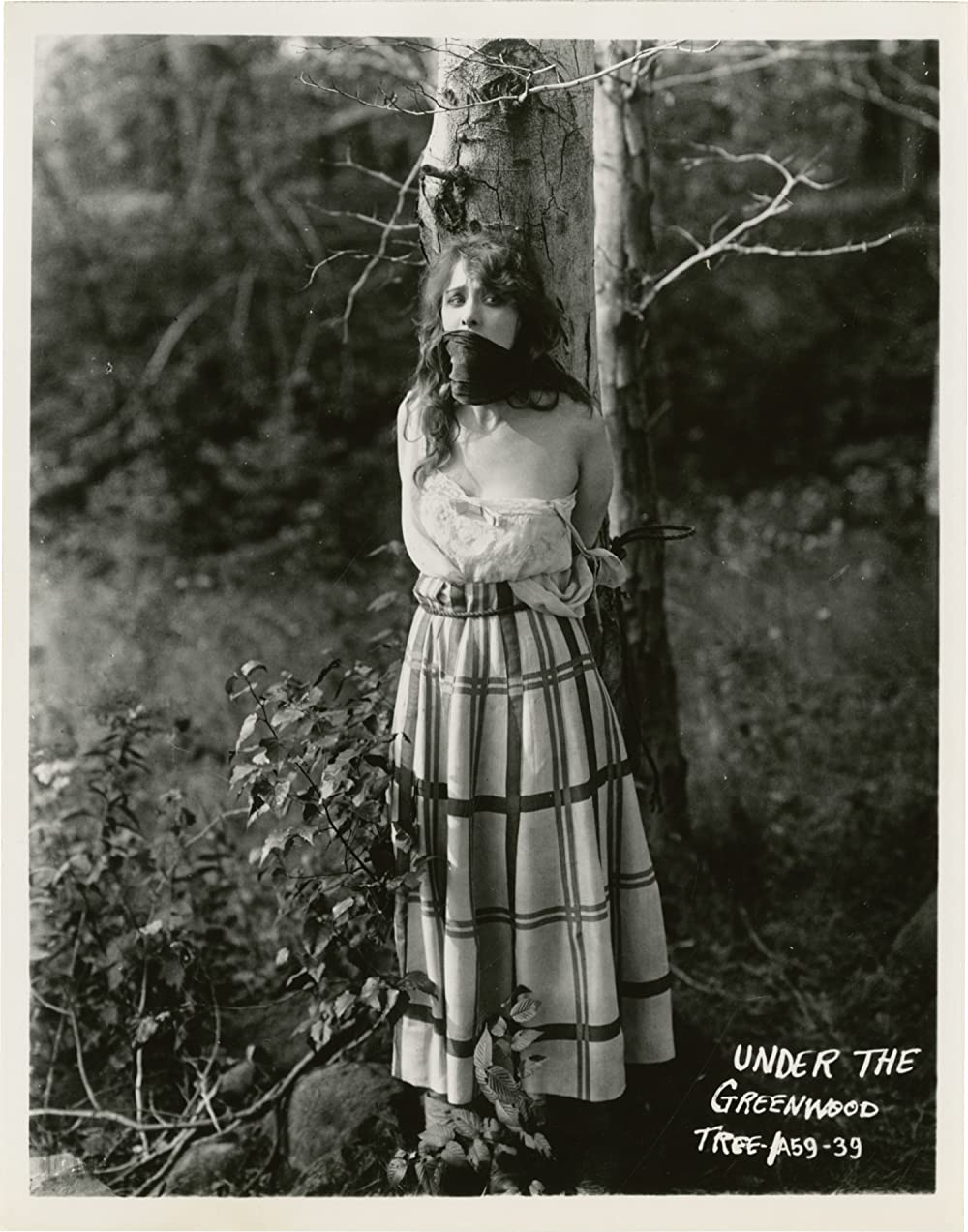 緑樹の下にの画像