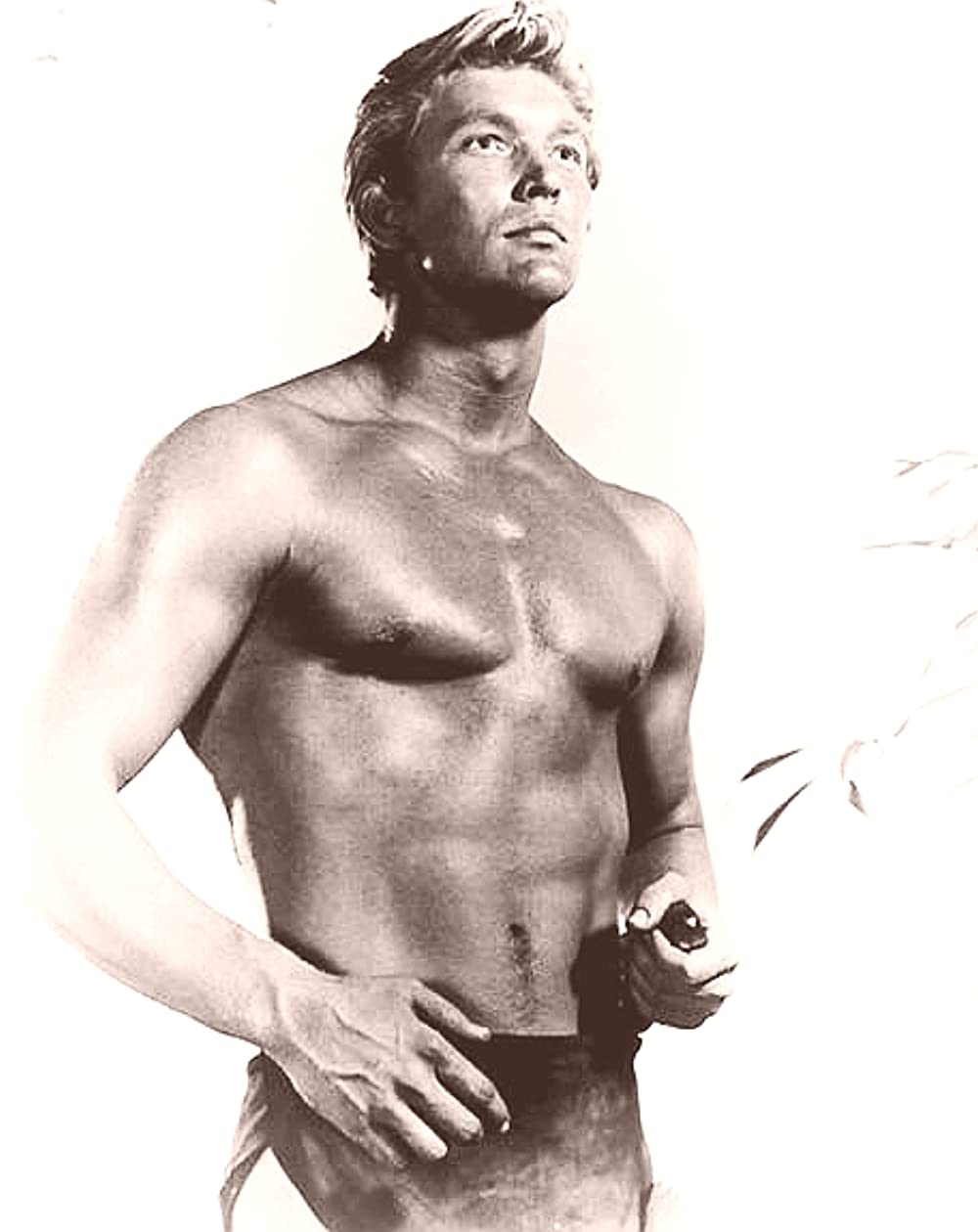 類猿人ターザンの画像