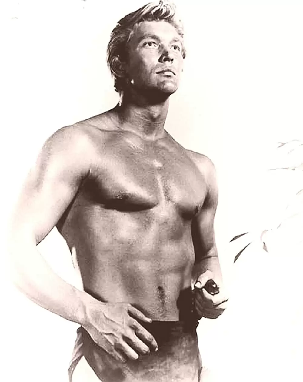 類猿人ターザンの画像