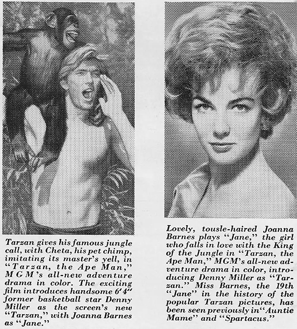 類猿人ターザンの画像